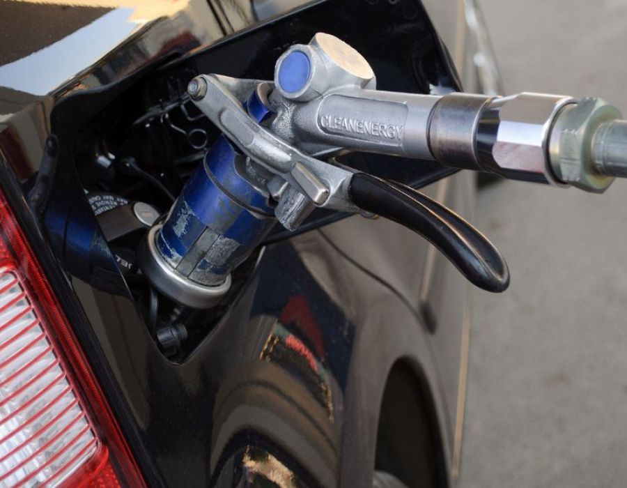 Revisione e collaudo sono la stessa cosa?