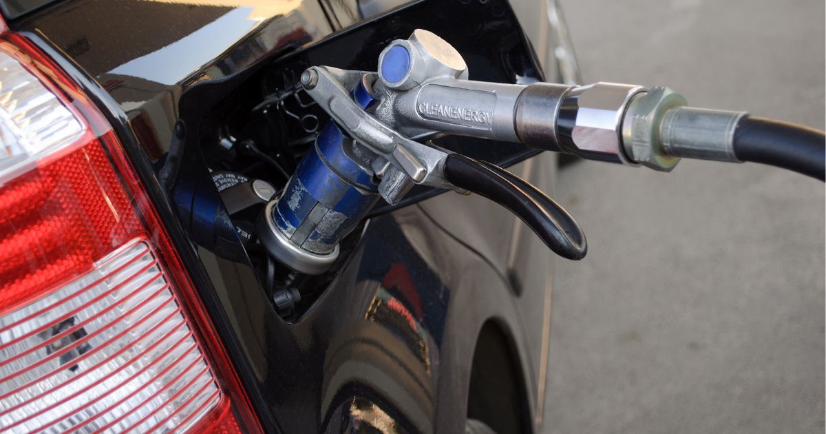 Revisione e collaudo sono la stessa cosa?